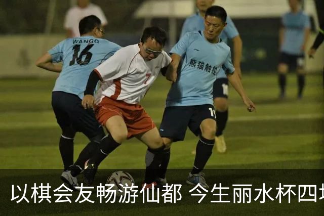 以棋会友畅游仙都 今生丽水杯四地围棋交流活动圆满落幕